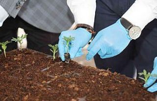 Uşak Belediyesi ata tohumlarının devamlılığını...
