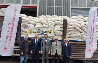 Uşak’ta arı üreticilerine toz şeker desteği...