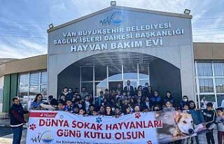 Van Büyükşehir’den ‘Sokak hayvanları koruma...