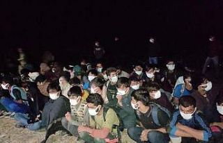 Van’da 3 ayda düzensiz göçmen kaçakçılığı...