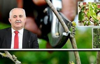 Van’da çiftçilere hastalık ve zararlılara karşı...