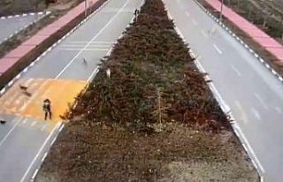 Van’da korku dolu anlar: 7 köpek kız öğrenciye...