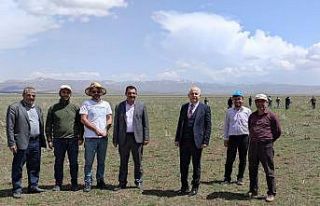 Van’da meralar ıslah ediliyor