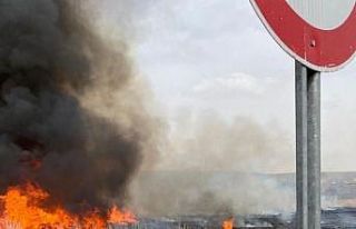 Van’da sazlık yangını