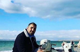 Van’da spor salonu bahçesinden çalınan Dogo Argentino...