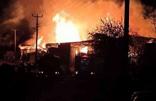 Yalova’da kereste fabrikasında korkutan yangın