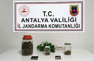 Yasadışı kenevir üretimine jandarma baskını:...
