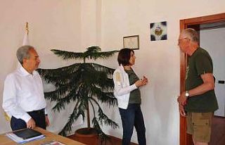 Yaya olarak ülke ülke gezen Hollandalı turistler...