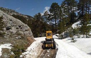Yaylalarda yollar kardan temizlendi