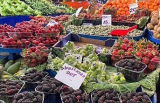 Yaz meyvelerinde bolluk ve ucuzluk bekleniyor