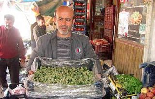 Yılın ilk yerli badem çağlası 25 liradan satışa...