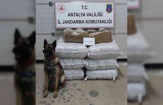 Yolcu otobüsünde 252 kilogram kaçak tütün ele...