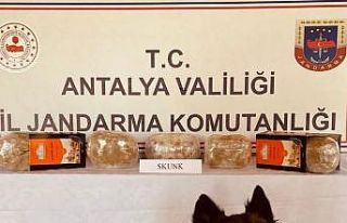 Yolcu otobüsünde uyuşturucu bulundu