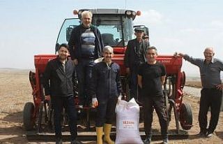 Yozgat’ta 7 çeşit nohut toprakla buluştu
