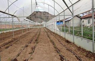 Yozgat’ta şiddetli rüzgar seralara zarar verdi