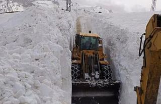 Yüksekova’da 8 metrelik kar tünelleri