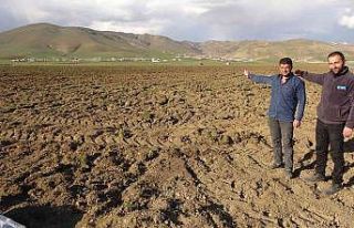 Yüksekovalı çiftçiler tarla ekimine başladı