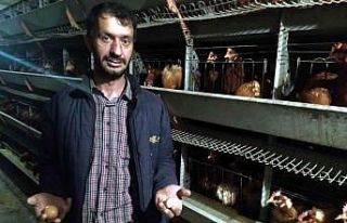 Yumurta üreticileri devletten destek bekliyor
