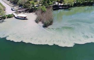 Zirai kanal temizliğinde atıklar Dalyan kanallarına...