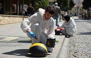 Zübeyde Hanım Caddesi uğur böcekleriyle donatılıyor