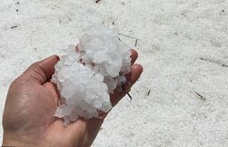 15 dakika etkili oldu, onlarca dönüm alan zarar...