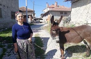 15 yılldır gözü gibi baktığı eşeğine aylar...