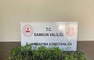 16 olayda 22 şüpheli gözaltına alındı