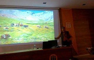 1 kare fotoğraf için 6 saat tırmandı