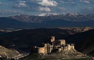 1. Van Fotoğraf Maratonu’nun sonuçları açıklandı