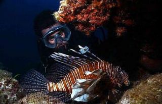 21. Uluslararası Kemer Sualtı Günleri başladı