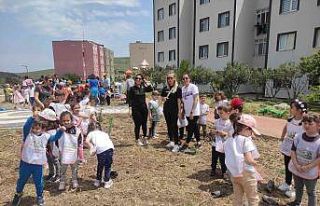 300 fidan topraklarla buluştu