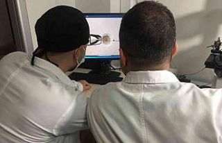 3 boyutlu yazıcı yardımıyla kök hücreden sperm...