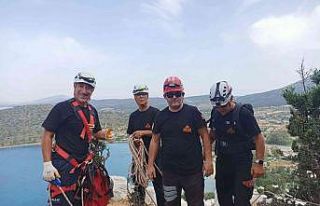 3 gün 10 metrelik çukurda mahsur kalan keçi kurtarıldı