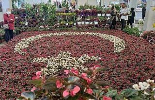 50 metre kare alana bin 500 çiçekli Türk Bayrağı...