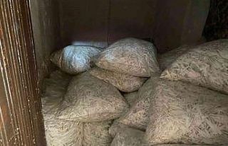 Adana’da 5 milyon 640 bin kaçak makaron ele geçirildi