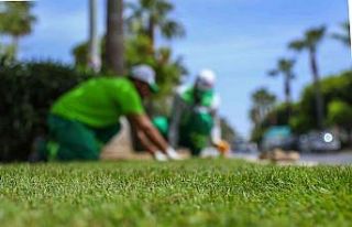Adnan Menderes Bulvarındaki refüje rulo çim seriliyor
