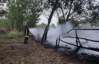 Ağıla yıldırım düştü