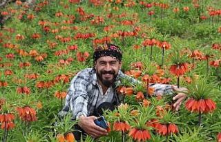 ‘Ağlayan Gelinler’den görsel şölen