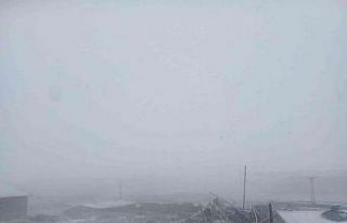 Ağrı’da yağmur yerini kar yağışına bıraktı