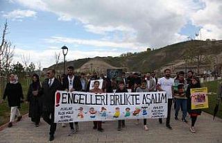 Ahlat’ta farkındalık yürüyüşü