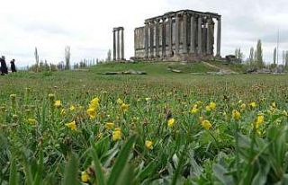 Aizanoi Antik Kenti’nde ilkbahar güzelliği
