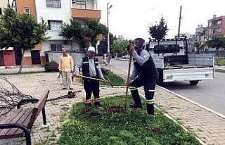 Akdeniz’de yenileme çalışmaları aralıksız...