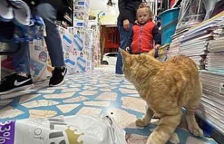 Akşam dükkan kapanırken geliyor sabaha kadar gitmiyor
