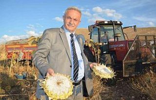 Aktepe “Çiftçiler ülkemizin bel kemiğidir”