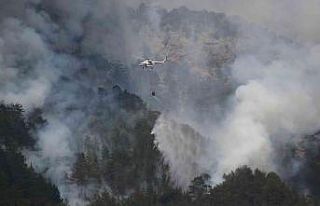 Alanya’daki orman yangını kısmen kontrol altına...