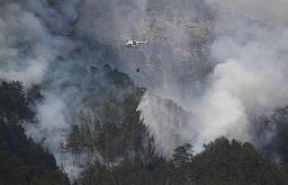 Alanya’daki yangına helikopter, 200 işçi ve 22...