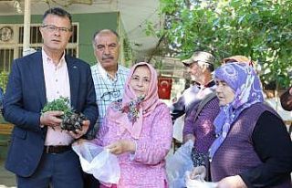Alaşehir Belediyesi 210 bin fide dağıttı
