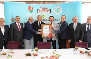 ‘Amasya patlıcan pehli’ yemeğine coğrafi işaret...