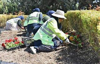 Ankara 19 Mayıs’a rengarenk çiçeklerle hazırlanıyor