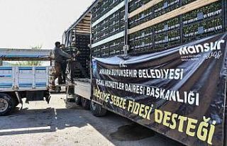 Ankara Büyükşehir’den çiftçilere sebze fidesi...